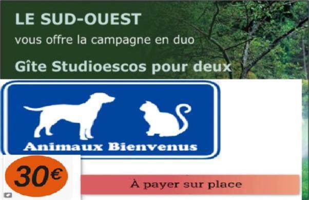 Gites Studioescos El Dos Kültér fotó